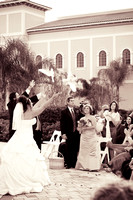 Adriana: Wedding 1/11/2009